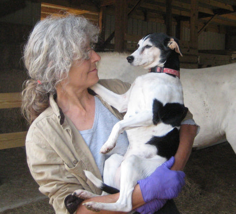Give a gift that matters: a donation in your friend's name. This gift will supply an abused cat or dog with bedding, treats, toys, and nutrition – things that m