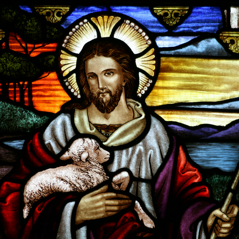 Support Your Favorite Christian Charity