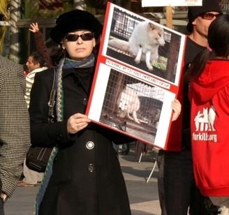 Give a gift that matters: a donation in your friend's name. Your gift will pay for 500 anti-fur leaflets to be handed out by one of our volunteers. IDA provides