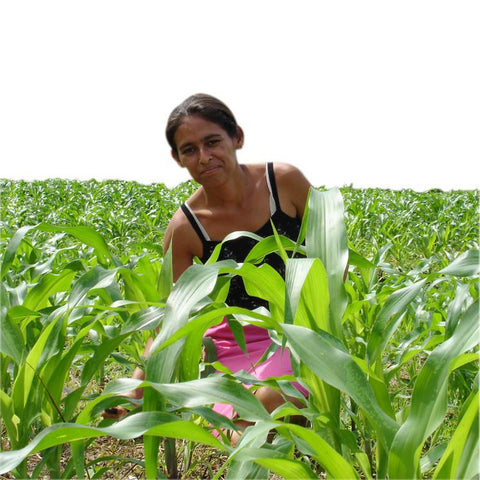 Give a gift that matters: a donation in your friend's name. Your gift will provide the seed capital necessary for a poor farmer in Nicaragua to take the first s